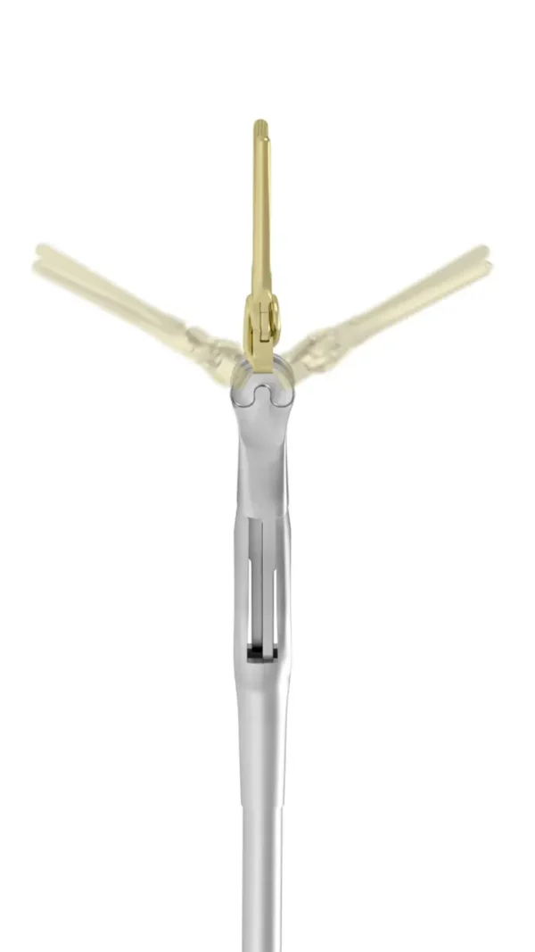 L-CLIP® - Image 6